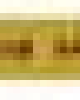 Мелок для стекла 180мм Желтый