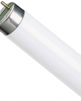 Лампа люминесцентная OSRAM L18 W765 G13 (холодный свет)